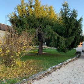 Un jardin en bonne santé